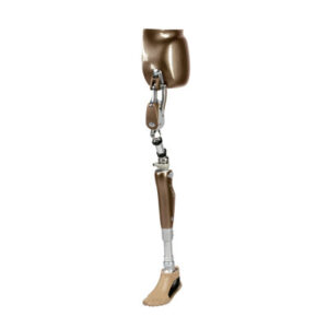 PROSTHETIC HIP JOINTS